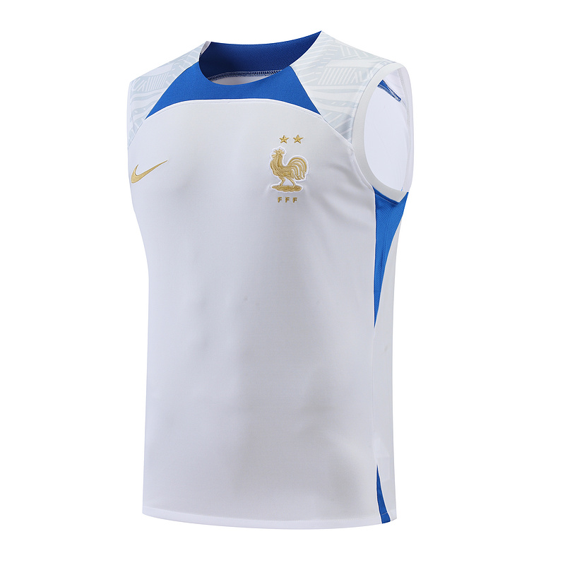AAA Quality France 22/23 White/Blue Vest Jersey